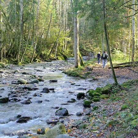 Appartamento Ferienhaus Wetzel Weiler-Simmerberg Esterno foto